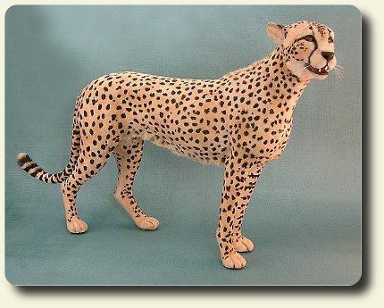 CDHM Artisan and IGMA Fellow Kerri Pajutee creates 1:12 scale, hand sculpted furred animals in scale miniature