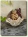 Taking a nap fairy baby by Sue Anne McConnell of Toodle Socks ArtDolls