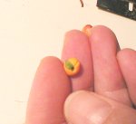 Attaching the leaf for the dollhouse 1/12 scale fruit